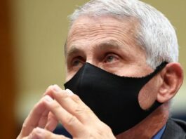 The Vaccine is Expected To Be Ready Later This Year. Dr. Anthony Fauchi Doctor Fauchi