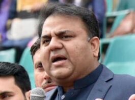 PTI Government Has 6 Months To Perform, Fawad Chaudhry Fawad Chaudhary