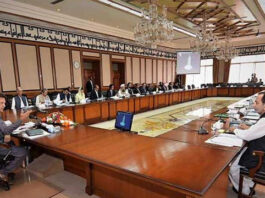 Federal Cabinet Decides not to increase Govt Employees Salaries Federal Cabinet Decides not to increase Govt Employees Salaries