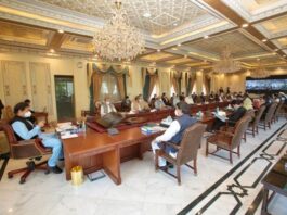 Federal Cabinet Decides To Resume International Flights For Pakistanis Abroad Federal Cabinet Meeting