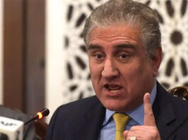 India Can Activate Its Sleeper Cells in Pakistan: FM Shah Mehmood Qureshi Finance Minister Shah Mehmood Qureshi