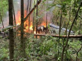 5 killed in US plane crash Georgia Plan Crash