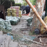 Mandi Bahauddin’s Vegetable Sellers Are Using The Park As A Warehouse Public Park used as Vegetable Storage Place