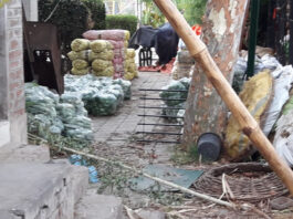 Mandi Bahauddin’s Vegetable Sellers Are Using The Park As A Warehouse Public Park used as Vegetable Storage Place