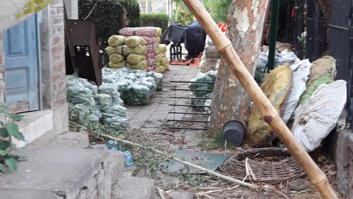 Public Park used as Vegetable Storage Place