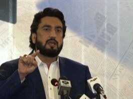 There Should Be No Violation of Party Rules and regulations: Shehryar Afridi Shahryar Afridi