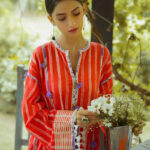 Zaha Trendy Daily Wear Collection Zaha Trendy Daily Wear Collection