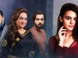 Is Bushra Ansari’s Drama Zebaish Best? Zebaish
