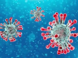 Coronavirus Cases in Pakistan Increased to 160,118 and 3,093 Deaths Coronavirus Cases in Pakistan Increased to 160,118 and 3,093 Deaths