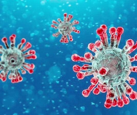 Coronavirus Cases in Pakistan Increased to 160,118 and 3,093 Deaths Coronavirus Cases in Pakistan Increased to 160,118 and 3,093 Deaths