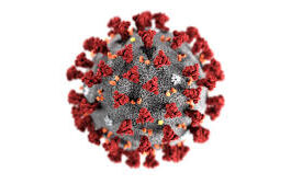 Coronavirus Cases in Pakistan Increased to 148,921 and 2,839 Deaths Coronavirus Cases in Pakistan Increased to 148,921 and 2,839 Deaths