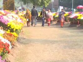 Punjab government announces to open parks in Lahore from tomorrow Parks opening Decision by Punjab Government