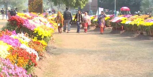 Punjab government announces to open parks in Lahore from tomorrow Parks opening Decision by Punjab Government