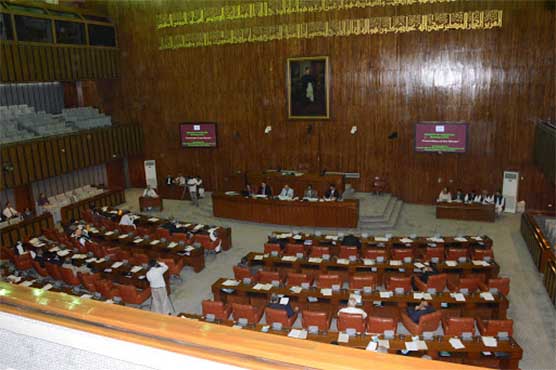 Senate session on national security legislation, FATF