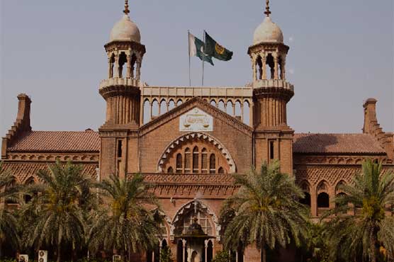 Lahore High Court heard a petition against the appointment aides to PM