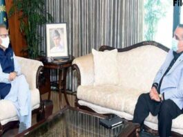Governor Sindh called on the President