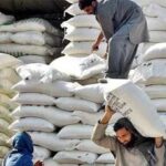 Prime Minister Orders to bring Government Wheat to Market Immediately to deal with Flour Crisis Prime Minister Orders to bring Government Wheat to Market Immediately to deal with Flour Crisis