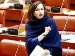 Govt has destroyed the Pakistan Medical and PMDC: Sherry Rehman Govt has destroyed the Pakistan Medical and PMDC: Sherry Rehman