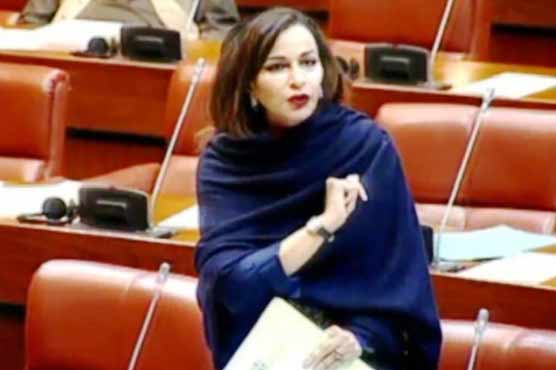 Govt has destroyed the Pakistan Medical and PMDC: Sherry Rehman