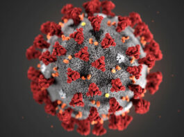 Coronavirus cases are decreasing in Pakistan Coronavirus cases are decreasing in Pakistan