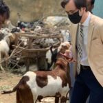 German ambassador bought a goat from a local cattle market on the occasion of Eid al-Adha German ambassador bought a goat from a local cattle market on the occasion of Eid al-Adha