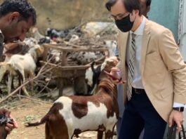 German ambassador bought a goat from a local cattle market on the occasion of Eid al-Adha German ambassador bought a goat from a local cattle market on the occasion of Eid al-Adha
