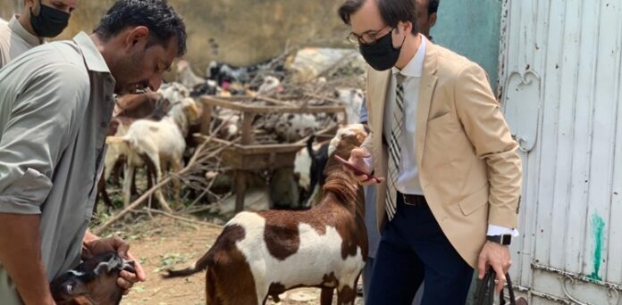 German ambassador bought a goat from a local cattle market on the occasion of Eid al-Adha