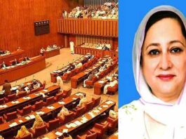 Senate Passes Special Education Bill for Illiterate Children Senate Passes Special Education Bill for Illiterate Children