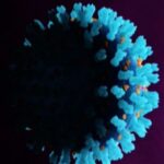 Covid-19 Cases Are on The Rise in Brazil, Latin America And India Covid-19