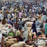 Cabinet Talk About Eid SOPs, Load Shedding Continues in Karachi Eidul Azha