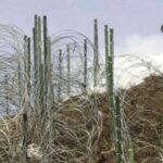 Three Injured in Indian Firing in Kashmir: Pak Army Line of Control LoC