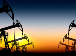 The Federal Government Plans To Sell Shares in Another Oil Company, OGDCL Oil & Gas Development Authority OGDL