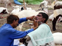 The closure of the Sindh coronavirus was extended until August 15 The closure of the Sindh coronavirus was extended until August 15