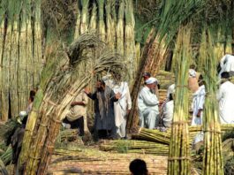Pakistan Sugar Mills Will Be Investigated as The Court Removed The Protection Sugar Labourers in Lahore