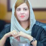 Electric Car Makers To Get 50% Grant: Zartaj Gul Zartaj Gull