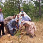The court said the CCI would decide on the construction of the Islamabad temple The court said the CCI would decide on the construction of the Islamabad temple