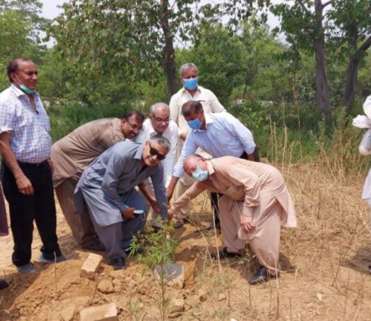 The court said the CCI would decide on the construction of the Islamabad temple The court said the CCI would decide on the construction of the Islamabad temple