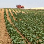 Covid-19 has severely impacted the economy: Minister NFSR Covid-19 has severely impacted the economy: Minister NFSR