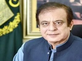 Prime Minister is committed to free and fair Senate elections: Shibli Faraz Prime Minister is committed to free and fair Senate elections: Shibli Faraz