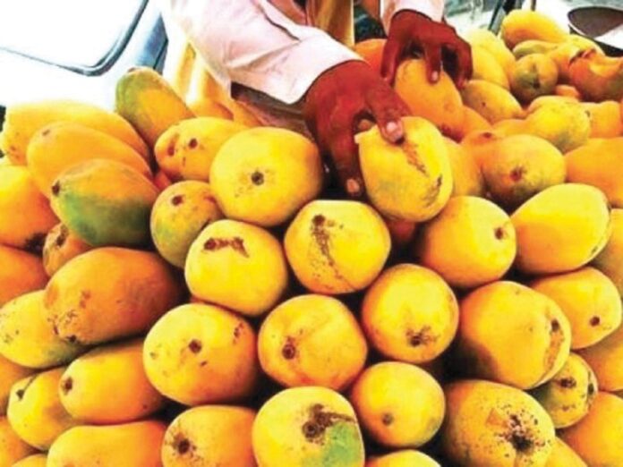 Pakistan starts exporting mango to Japan