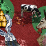 Karachi milk prices increase to Rs 120 / kg Karachi milk prices increase to Rs 120 / kg