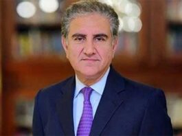 No ban for dual nationals to hold other positions as parliamentarians: Shah Mehmood Qureshi No ban for dual nationals to hold other positions as parliamentarians: Shah Mehmood Qureshi