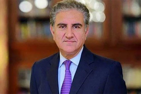 No ban for dual nationals to hold other positions as parliamentarians: Shah Mehmood Qureshi