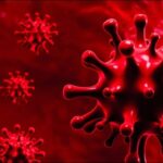 In Punjab, 139 new cases of coronavirus were reported in 24 hours In Punjab, 139 new cases of coronavirus were reported in 24 hours