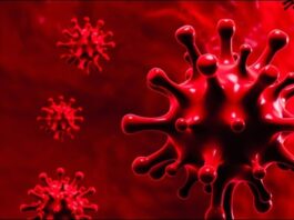 In Punjab, 139 new cases of coronavirus were reported in 24 hours In Punjab, 139 new cases of coronavirus were reported in 24 hours