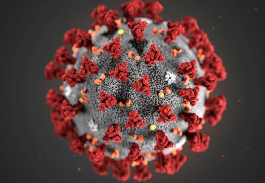 In the last 24 hours, 531 new cases of coronavirus and 15 deaths have been reported In the last 24 hours, 531 new cases of coronavirus and 15 deaths have been reported