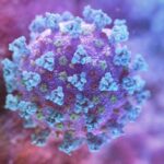 Punjab records decrease in coronavirus cases Punjab records decrease in coronavirus cases