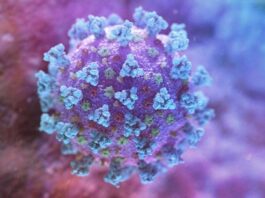 Punjab records decrease in coronavirus cases Punjab records decrease in coronavirus cases