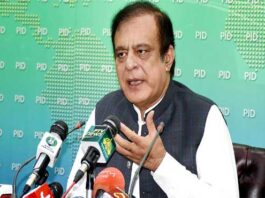 Make PM Imran Khan’s tree planting project a success: Shibli Faraz Make PM Imran Khan's tree planting project a success: Shibli Faraz