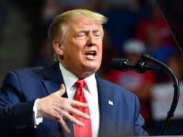 Other Chinese tech companies could also be put under pressure: Trump Other Chinese tech companies could also be put under pressure: Trump